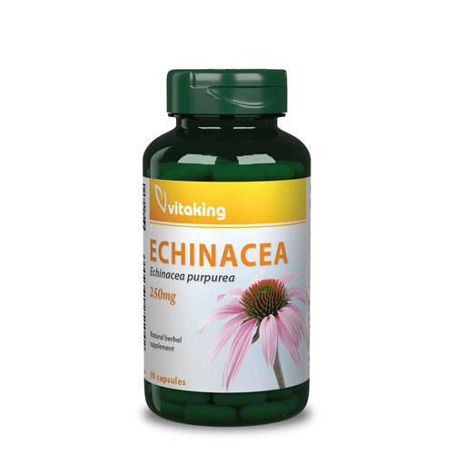 Vitaking Echinacea - Bíbor Kasvirág Kivonat