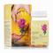 Gal Gal Biocurcumin+ Forte kurkuma-kivonat